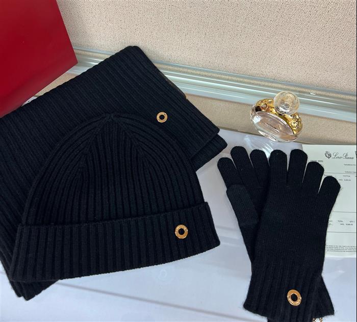 2026116112024100 100